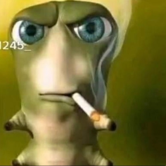 Meet your Posher, Ethan - Picture 1 of 1